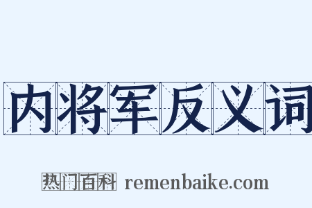 内将军反义词是什么意思的图片